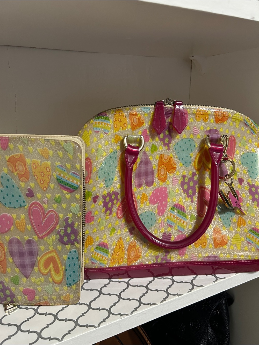 Sapsucker Jelly Clutch w/matching wallet